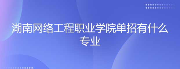 湖南網(wǎng)絡工程職業(yè)學院單招專業(yè)解讀 聚焦網(wǎng)絡工程設計，培育數(shù)字時代技術人才